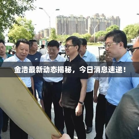 金浩最新動(dòng)態(tài)揭秘，今日消息速遞！
