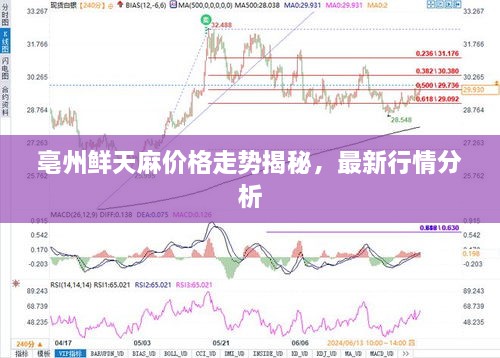 亳州鮮天麻價(jià)格走勢(shì)揭秘，最新行情分析