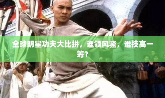 全球明星功夫大比拼，誰領(lǐng)風(fēng)騷，誰技高一籌？