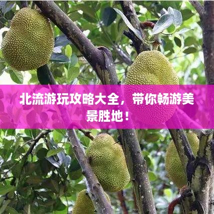 北流游玩攻略大全，帶你暢游美景勝地！