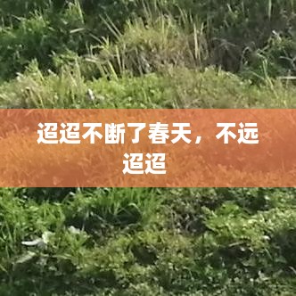 迢迢不斷了春天，不遠(yuǎn)迢迢 