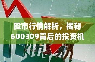 股市行情解析，揭秘600309背后的投資機(jī)會(huì)與挑戰(zhàn)