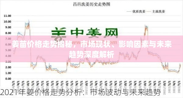 姜苗價(jià)格走勢揭秘，市場現(xiàn)狀、影響因素與未來趨勢深度解析