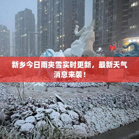 新鄉(xiāng)今日雨夾雪實(shí)時(shí)更新，最新天氣消息來(lái)襲！