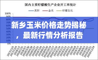 新鄉(xiāng)玉米價(jià)格走勢揭秘，最新行情分析報(bào)告