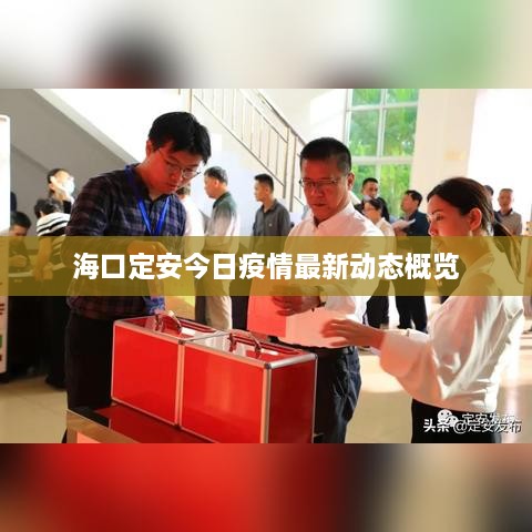 ?？诙ò步袢找咔樽钚聞?dòng)態(tài)概覽