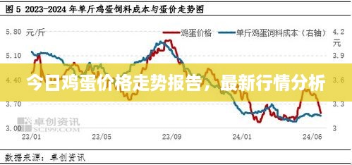 今日雞蛋價格走勢報(bào)告，最新行情分析