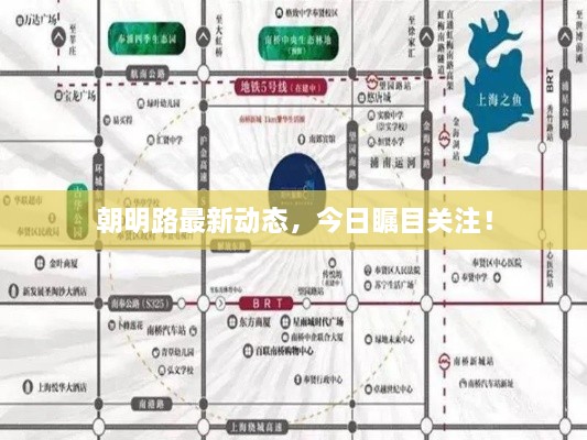 朝明路最新動(dòng)態(tài)，今日矚目關(guān)注！