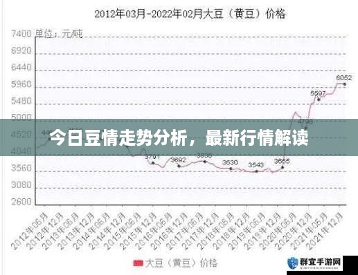 今日豆情走勢(shì)分析，最新行情解讀