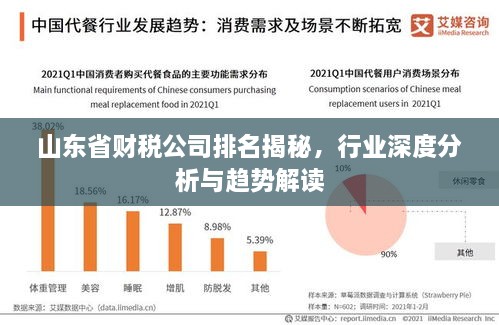 山東省財稅公司排名揭秘，行業(yè)深度分析與趨勢解讀