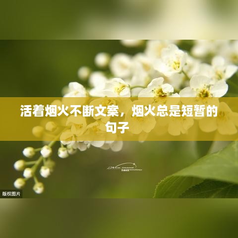 活著煙火不斷文案，煙火總是短暫的句子 