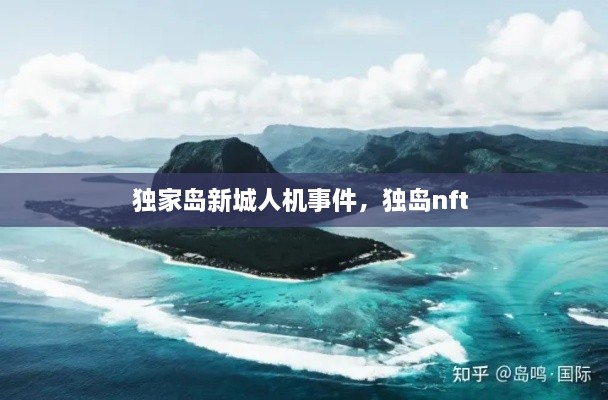 獨(dú)家島新城人機(jī)事件，獨(dú)島nft 