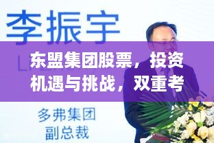 東盟集團(tuán)股票，投資機(jī)遇與挑戰(zhàn)，雙重考量不容錯過