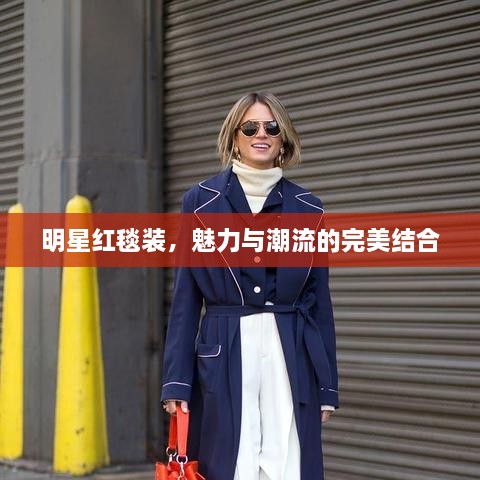 明星紅毯裝，魅力與潮流的完美結(jié)合