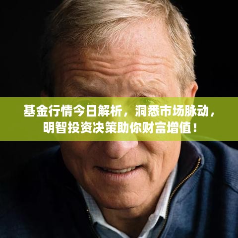 基金行情今日解析，洞悉市場脈動，明智投資決策助你財富增值！
