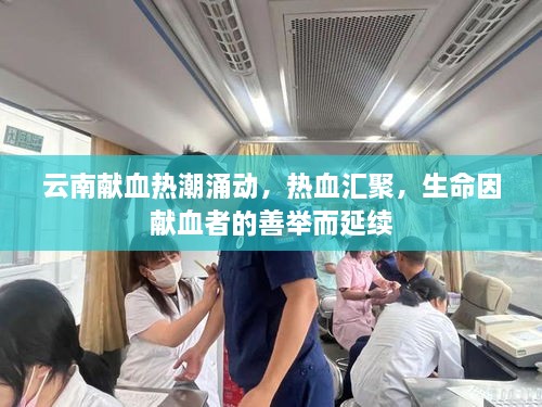 云南獻(xiàn)血熱潮涌動(dòng)，熱血匯聚，生命因獻(xiàn)血者的善舉而延續(xù)