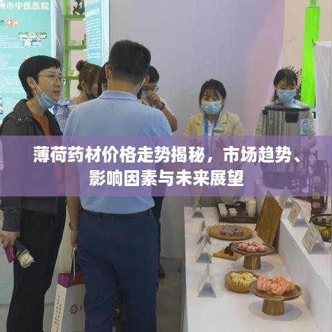 薄荷藥材價格走勢揭秘，市場趨勢、影響因素與未來展望