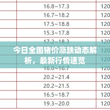 今日全國(guó)豬價(jià)漲跌動(dòng)態(tài)解析，最新行情速覽