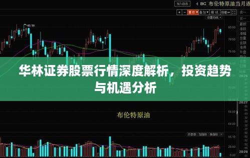 華林證券股票行情深度解析，投資趨勢與機(jī)遇分析