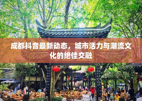 成都抖音最新動態(tài)，城市活力與潮流文化的絕佳交融