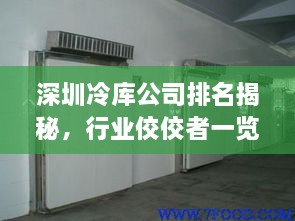深圳冷庫公司排名揭秘，行業(yè)佼佼者一覽無余