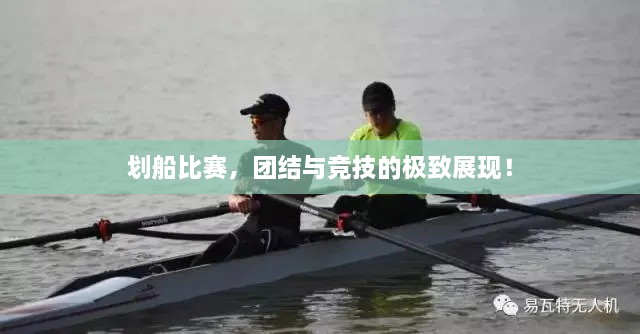 劃船比賽，團(tuán)結(jié)與競技的極致展現(xiàn)！