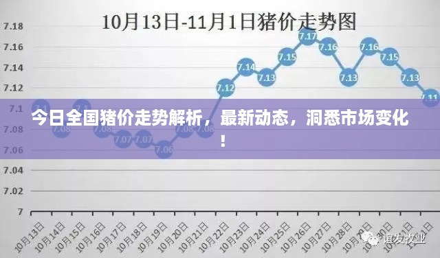 今日全國豬價走勢解析，最新動態(tài)，洞悉市場變化！