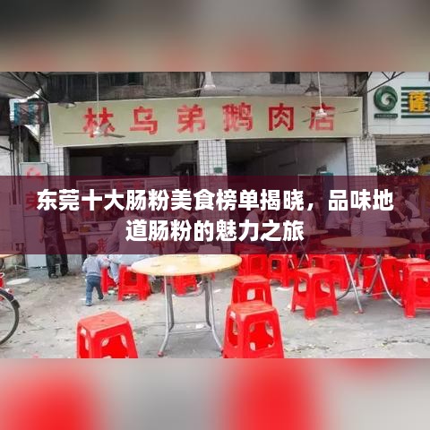 東莞十大腸粉美食榜單揭曉，品味地道腸粉的魅力之旅