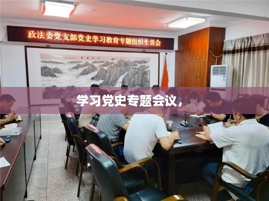學(xué)習(xí)黨史專題會(huì)議， 