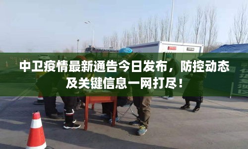 中衛(wèi)疫情最新通告今日發(fā)布，防控動態(tài)及關(guān)鍵信息一網(wǎng)打盡！