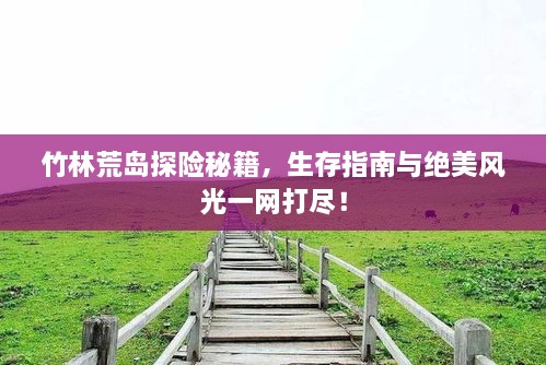 竹林荒島探險秘籍，生存指南與絕美風(fēng)光一網(wǎng)打盡！