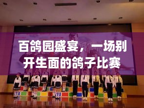 百鴿園盛宴，一場別開生面的鴿子比賽盛宴！