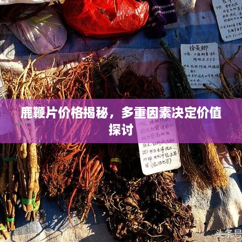 鹿鞭片價(jià)格揭秘，多重因素決定價(jià)值探討
