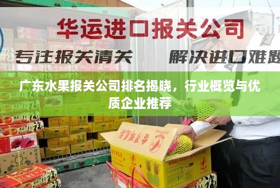 廣東水果報關(guān)公司排名揭曉，行業(yè)概覽與優(yōu)質(zhì)企業(yè)推薦