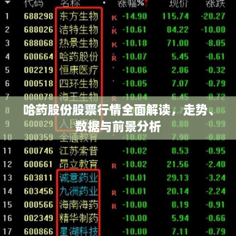 哈藥股份股票行情全面解讀，走勢(shì)、數(shù)據(jù)與前景分析