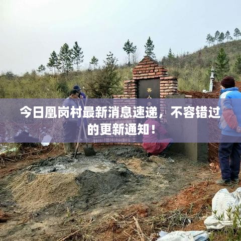 今日凰崗村最新消息速遞，不容錯(cuò)過(guò)的更新通知！