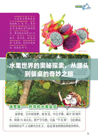 水果世界的奧秘探索，從源頭到餐桌的奇妙之旅