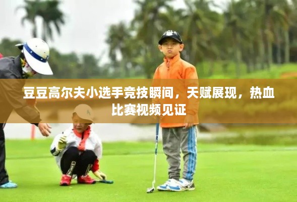 豆豆高爾夫小選手競(jìng)技瞬間，天賦展現(xiàn)，熱血比賽視頻見(jiàn)證