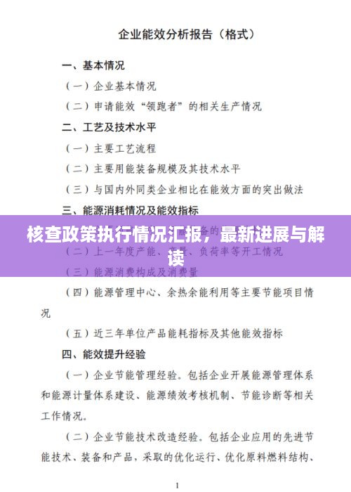 核查政策執(zhí)行情況匯報，最新進展與解讀