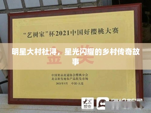 明星大村杜潯，星光閃耀的鄉(xiāng)村傳奇故事