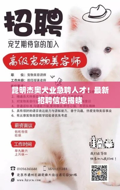 昆明杰奧犬業(yè)急聘人才！最新招聘信息揭曉