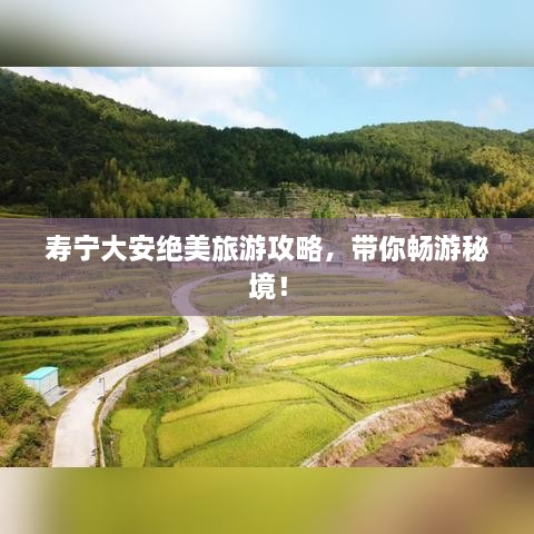 壽寧大安絕美旅游攻略，帶你暢游秘境！