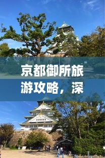 2025年2月17日 第2頁(yè)