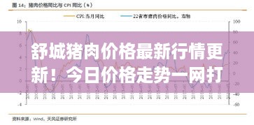 舒城豬肉價(jià)格最新行情更新！今日價(jià)格走勢一網(wǎng)打盡