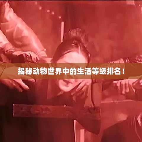 揭秘動(dòng)物世界中的生活等級(jí)排名！