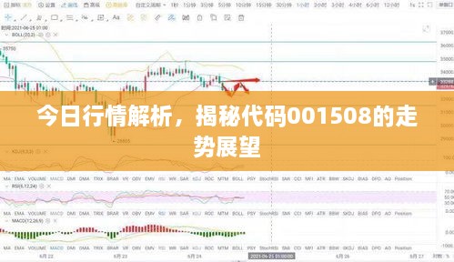 今日行情解析，揭秘代碼001508的走勢(shì)展望
