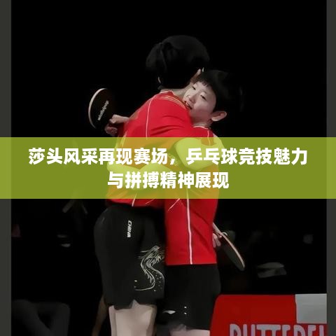 莎頭風(fēng)采再現(xiàn)賽場(chǎng)，乒乓球競(jìng)技魅力與拼搏精神展現(xiàn)