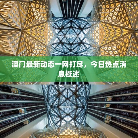 澳門最新動態(tài)一網(wǎng)打盡，今日熱點消息概述