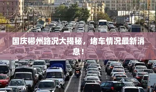 國慶郴州路況大揭秘，堵車情況最新消息！
