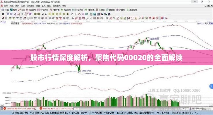 股市行情深度解析，聚焦代碼00020的全面解讀